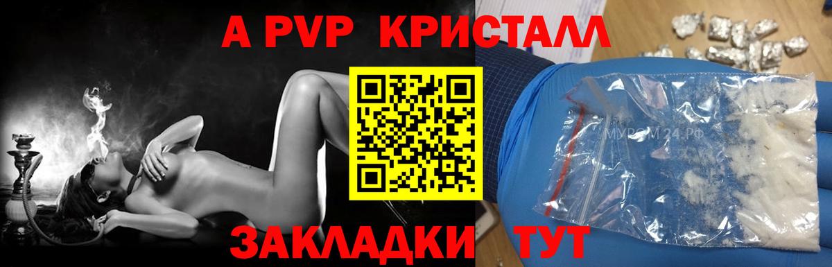 A PVP СК КРИС Краснознаменск