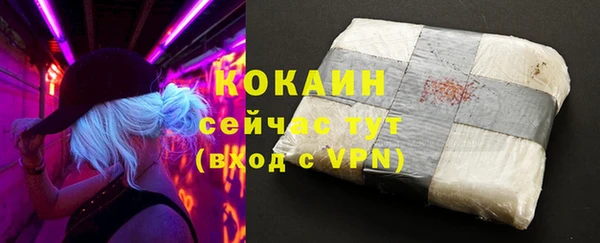 apvp Горнозаводск