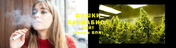 apvp Горнозаводск