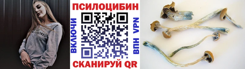 магазин  наркотиков  Краснознаменск  OMG сайт  Псилоцибиновые грибы прущие грибы 