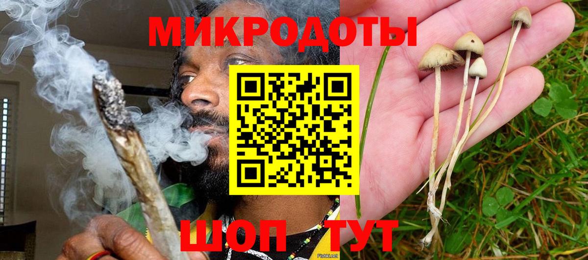 Галлюциногенные грибы Cubensis  Вход с VPN  Краснознаменск 