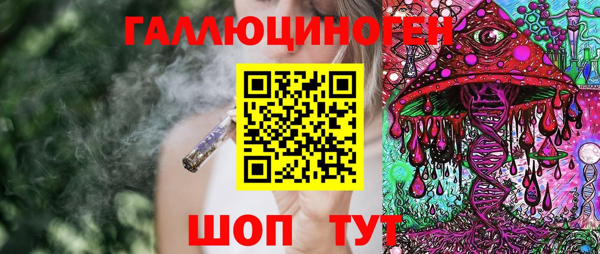 Псилоцибиновые грибы мицелий Краснознаменск